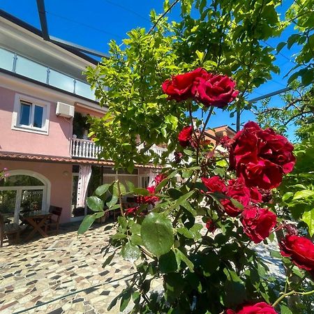 Apartments Tereza Novigrad  Ngoại thất bức ảnh