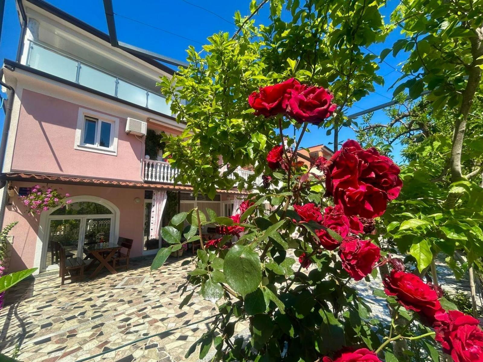 Apartments Tereza Novigrad  Ngoại thất bức ảnh